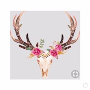 Meet your Posher, Ashlyn